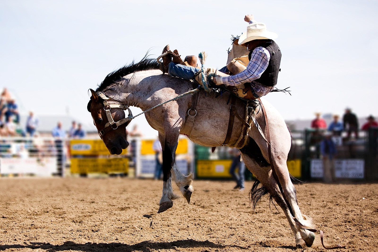 The Legacy of Skee Burkes at the West Texas Fair and Rodeo Bronc Riding Event