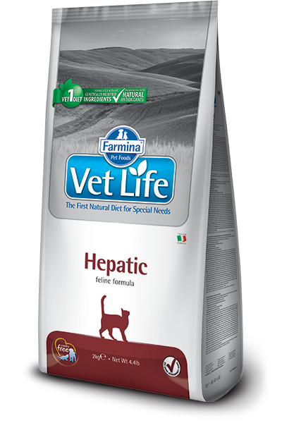 Vet Life Panamá: Specialized Diets for Dogs and Cats with Health Needs