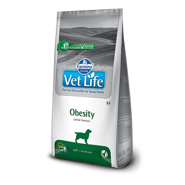 Vet Life Panamá: Specialized Diets for Dogs and Cats with Health Needs