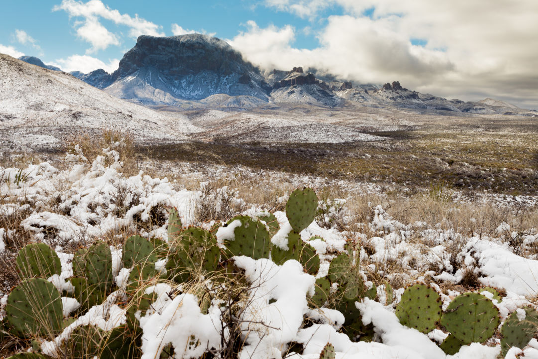 Cold Tourist Location in Texas? Find Your Perfect Chilly Getaway!