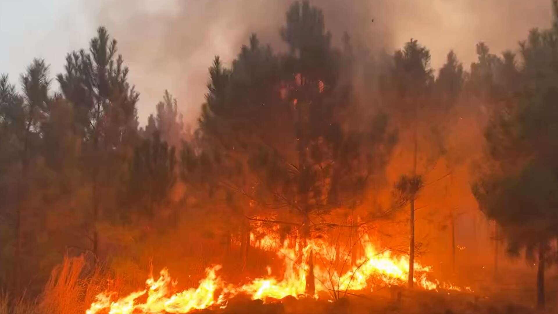 Wildfire Bastrop: 400 Acres Burn, Over 60 Homes Evacuated