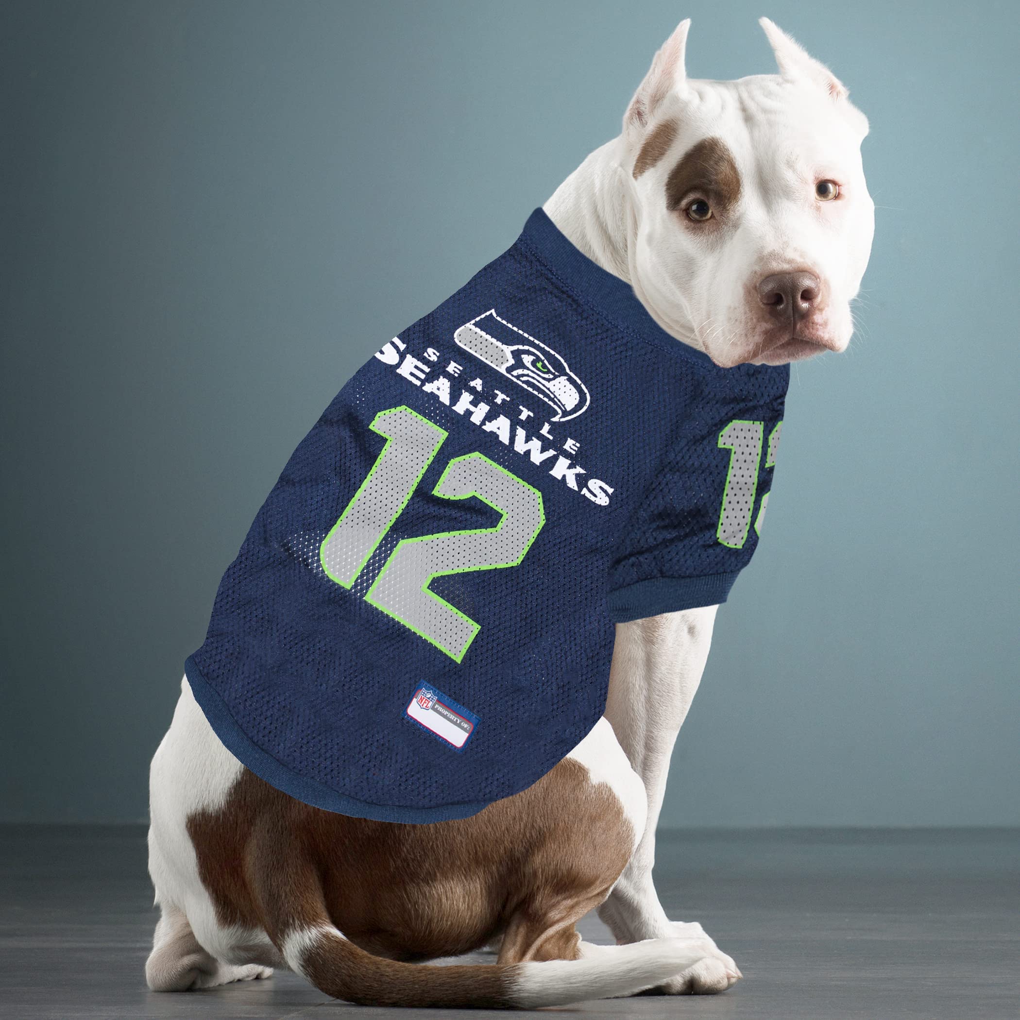 Cute Seattle Seahawks Pet Jersey: Show Your Team Spirit with Your Pet