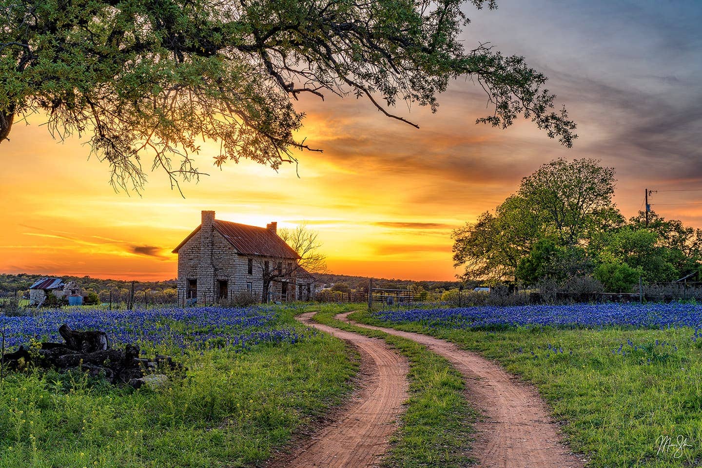 Experience the Beauty: Bluebonnet Drive in Texas Hill Country